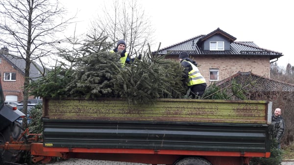 Weihnachtsbaumaktion